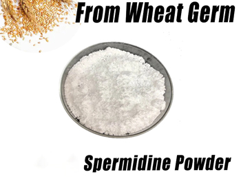 How Long Does It Take for Spermidine Powder to Work?